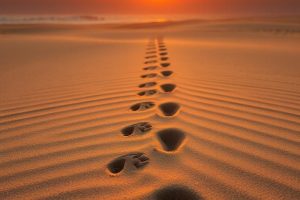 インスタ👣ストーリーハイライトの足跡、確認できる？